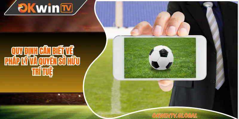 Quy định cần biết về pháp lý và quyền sở hữu trí tuệ